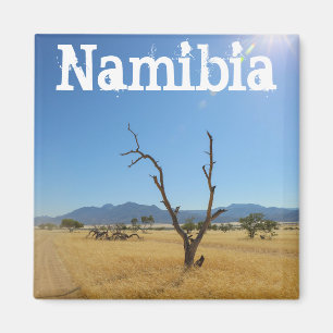 Aimant Namibie Marienfluss Savannah Paysage Nature