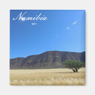 Aimant Namibie Marienfluss Savannah Paysage Nature