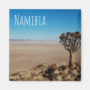 Aimant Namibie Tirool Namib Désert Paysage Kokerboom
