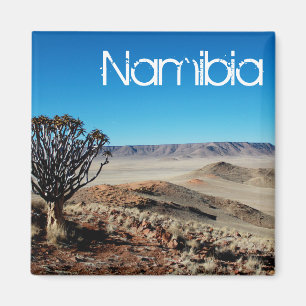 Aimant Namibie Tirool Namib Désert Paysage Kokerboom