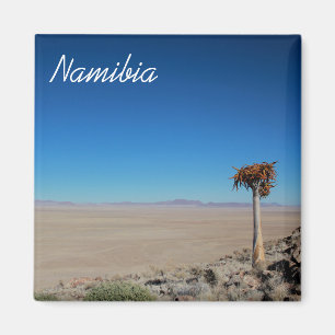 Aimant Namibie Tirool Namib Désert Paysage Kokerboom