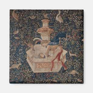 Aimant Narcisse au Puits, Tapisserie Médiévale