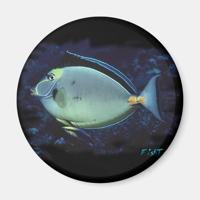 Aimant Naso Tang (Devant)