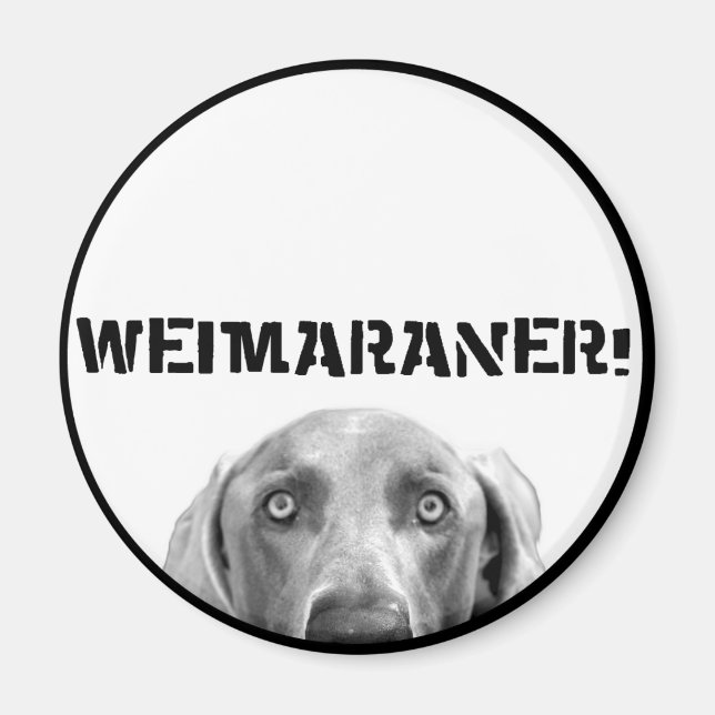 Aimant Nation Weimaraner : Weimaraner Dans Une Boîte ! (Devant)