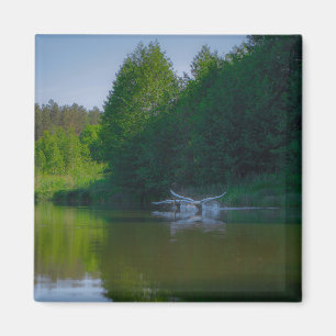 Aimant Nature Paysage Paysage Paysages Cygnes Voler