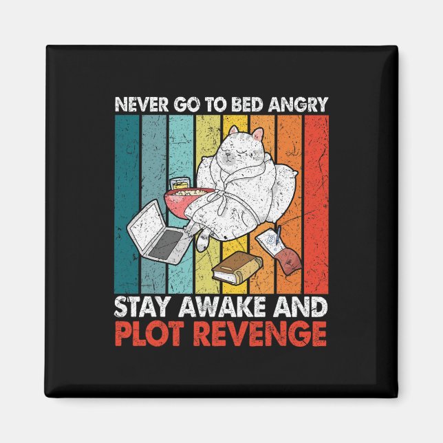 Aimant Ne Jamais Aller Lit Angrystay Awake Plot Revenge (Devant)