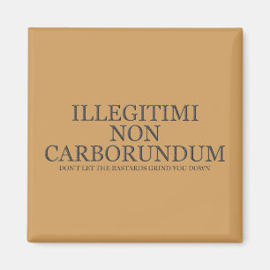 Aimant Ne laissez pas les bâtards vous rectifier vers le