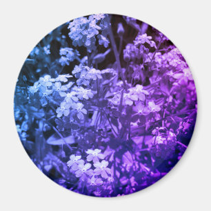 Aimant ne m'oublie pas