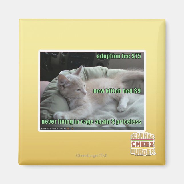 Aimant Ne plus jamais vivre dans une cage (Devant)