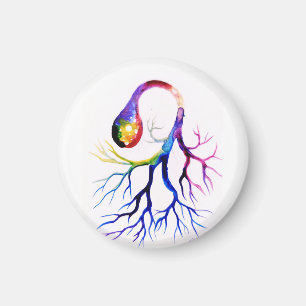 Aimant neurone unipolaire