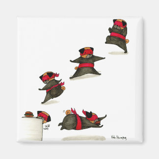 Aimant Ninja Carlin Snack Attaque !