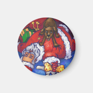 Aimant Noël