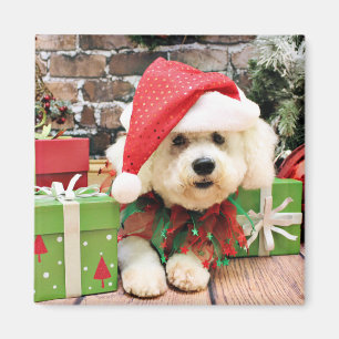 Aimant Noël - Bichon Frise - Daisy