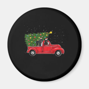 Aimant Noël de chien de Terre-Neuve sur la voiture rouge
