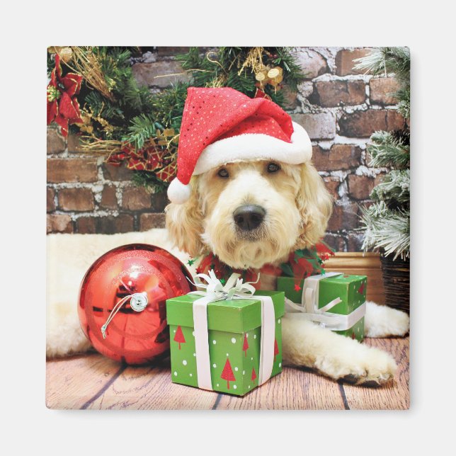 Aimant Noël - GoldenDoodle - Gus (Devant)