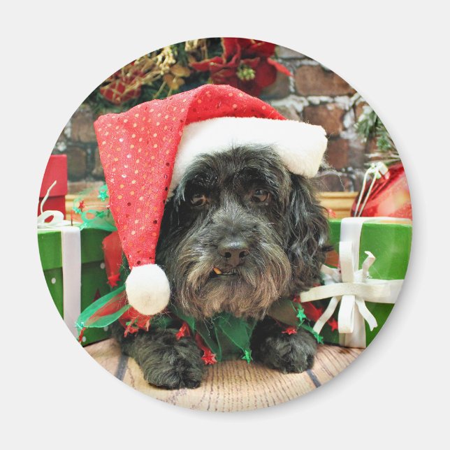 Aimant Noël - Lhassa Apso - Pixie (Devant)