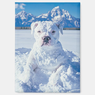 Aimant Noël Pitbull Chien Snowman