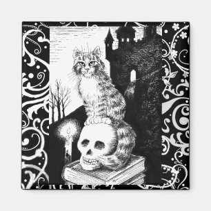 Aimant noir et blanc de crâne de chaton de