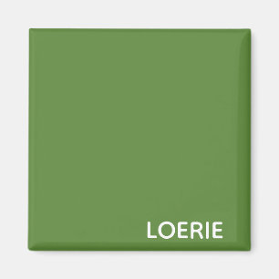 Aimant Nom de la couleur verte Loerie