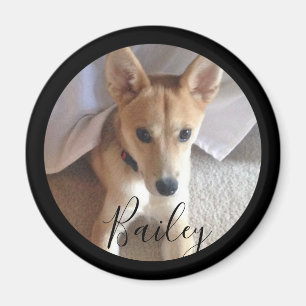 Aimant Nom de la photo d'un animal familier de chien