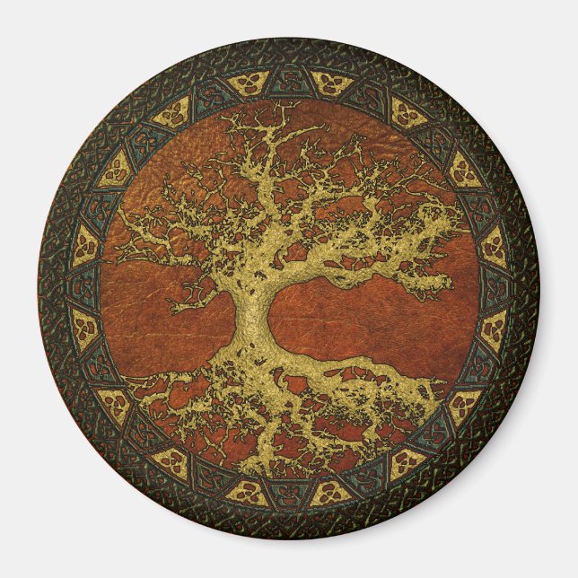 Aimant non défini (Devant)