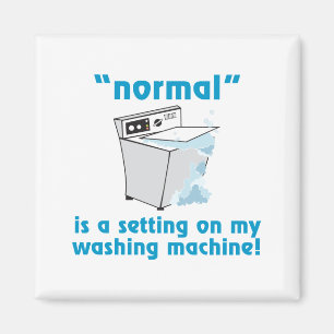 Aimant Normal