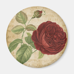 Aimant Notes de musique Parchemin Roses rouges Rose Vinta
