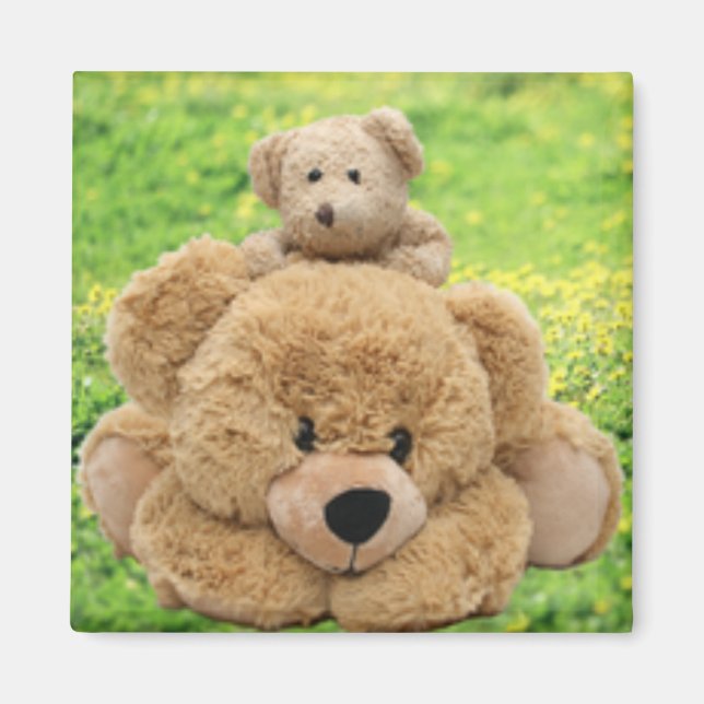Aimant Nounours mignons dans un pré (Devant)