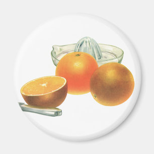 Aimant Nourriture vintage Fruit, Oranges mûres Juicer Pet