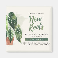 Nous avons déplacé planté de nouvelles racines Mot
