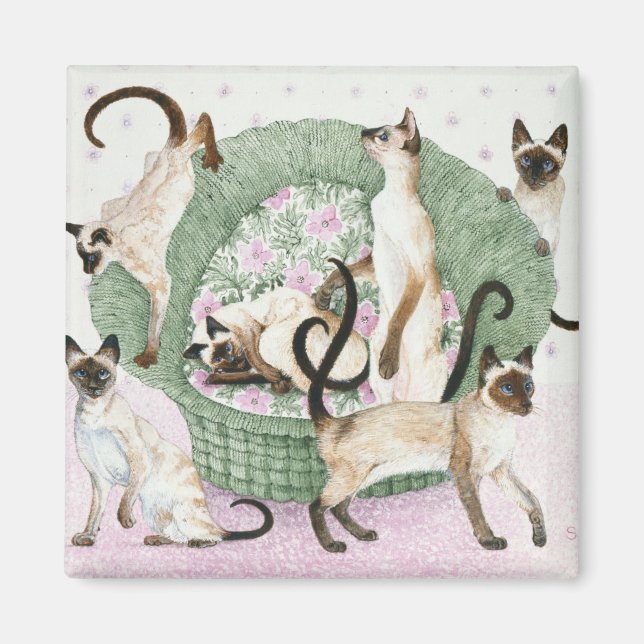 Aimant Nous sommes Siamais si vous vous plaît (Devant)