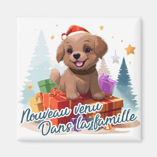 Aimant Nouveau venu dans la famille