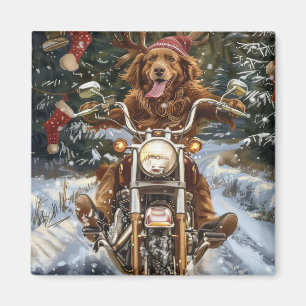 Aimant Nouvelle-Écosse Moto Équitation de Chien Noël