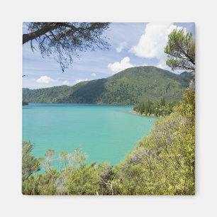 Aimant Nouvelle-Zélande, South Island, Marlborough Sound