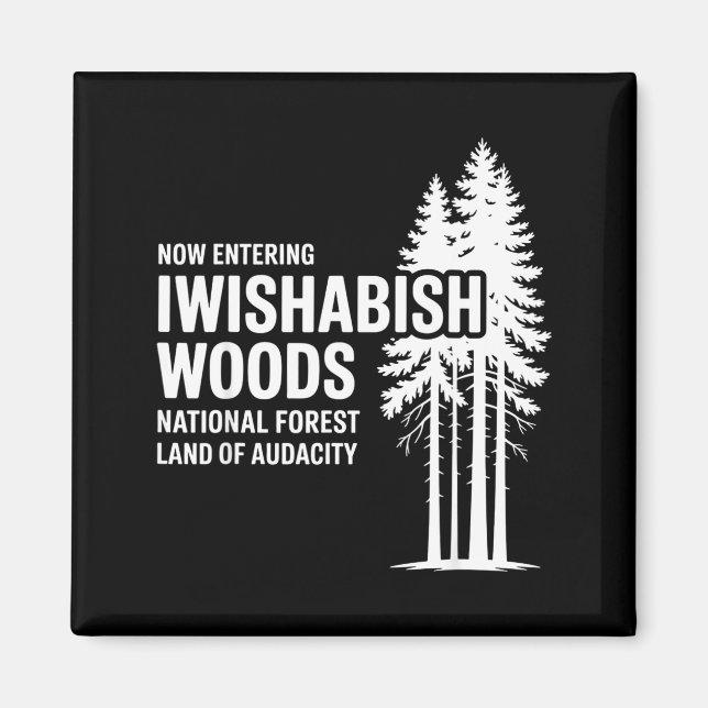 Aimant Now Entering I Wishabish Woods National Forest Lan (Devant)