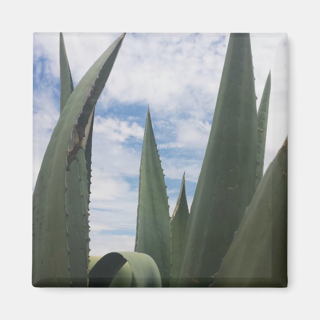 Aimant Nuages Agave (Devant)