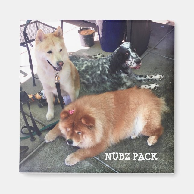 Aimant NUBZ NATION Magnet. Carré (Devant)