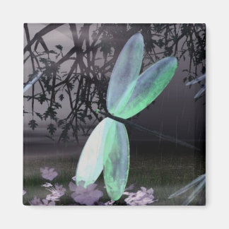 Aimant Nuit des libellules