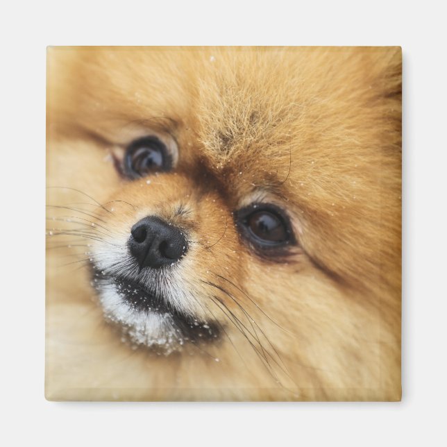 Aimant Numéro 1 (Devant)