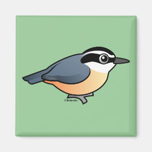 Aimant Nuthatch à poitrine rouge