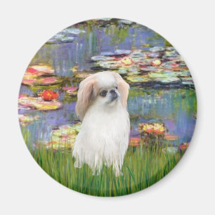 Aimant Nymphéas 2 - Japanese Chin (L2)