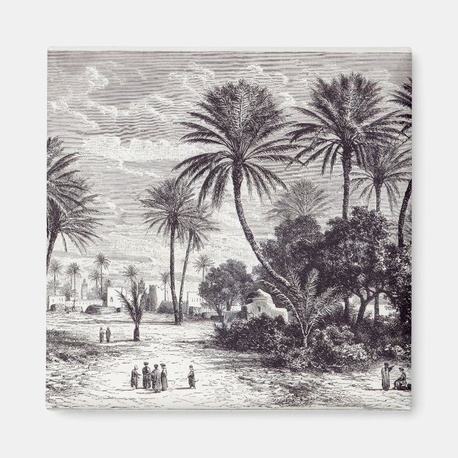 Aimant Oasis de Gafsa : Tunis (Devant)