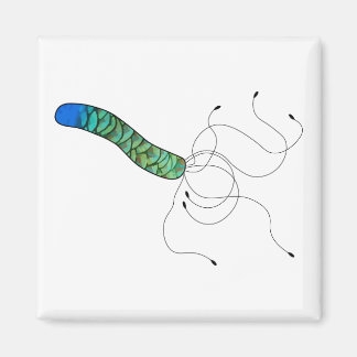 Aimant Objet microbe à plumes