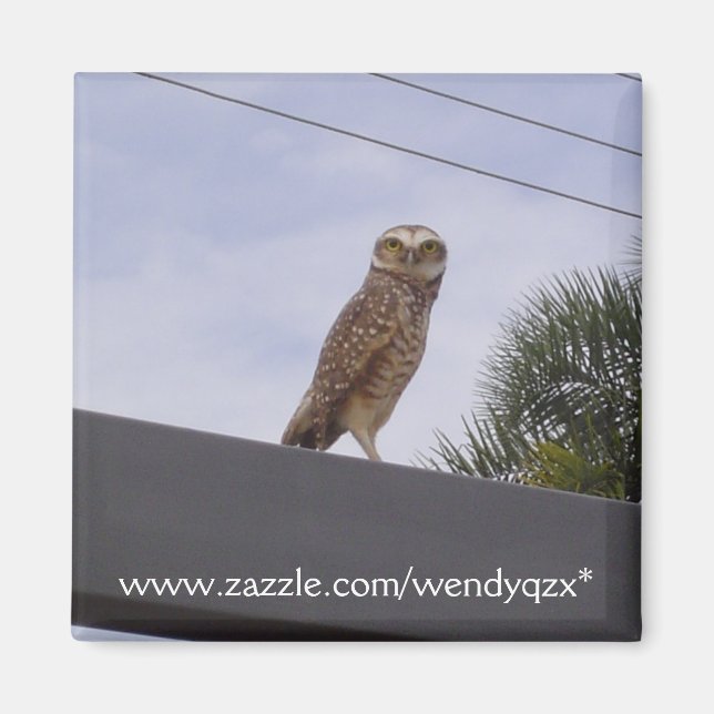 Aimant Observateur Owl (Devant)