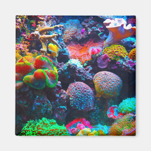 Aimant océanique coloré de la barrière de corail