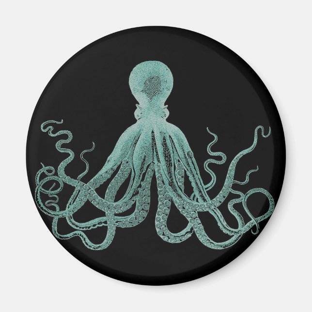 Aimant octopus bleu (Devant)