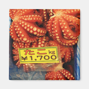 Aimant Octopus Tako た こ marché de poisson Tsukiji, Tokyo,