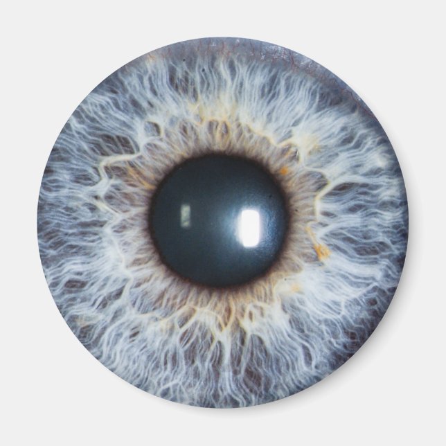 Aimant oeil bleu (Devant)