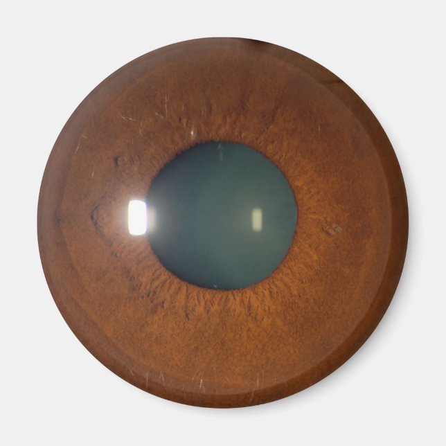 Aimant oeil Brown (Devant)