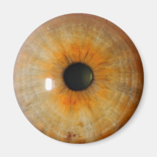 Aimant oeil brumeux aux épaves